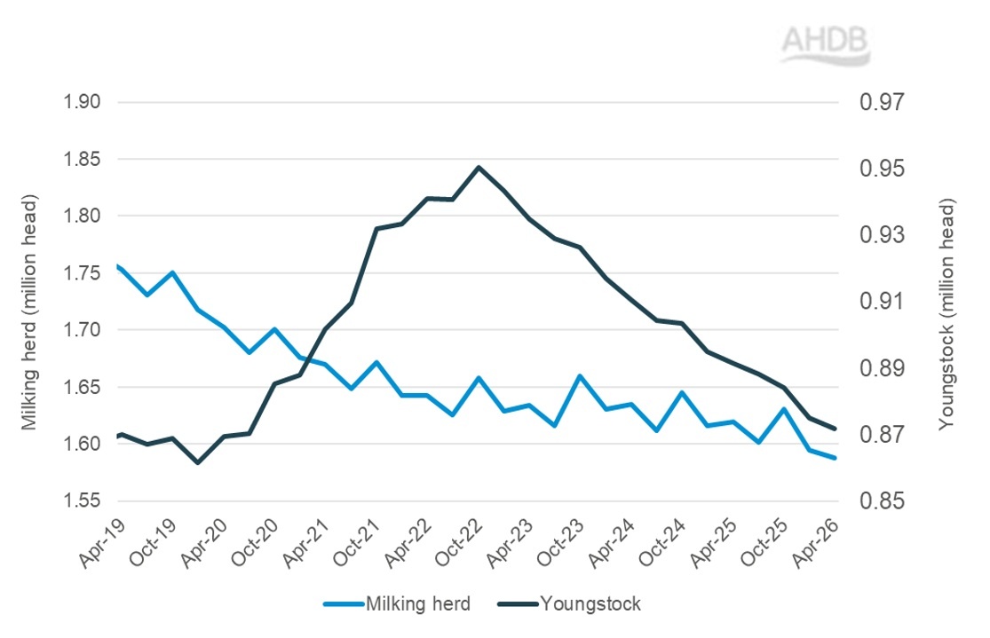 GB female dairy population_Jun26